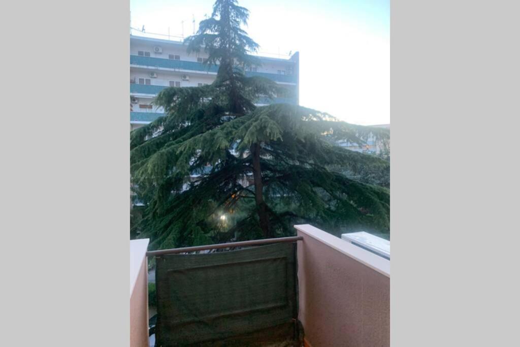 בארי Residenza Giovanni Paolo Secondo- Casa Sull'Albero מראה חיצוני תמונה